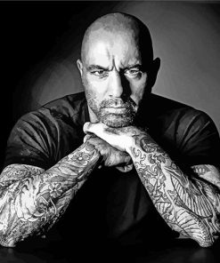 Joe-Rogan-black-and-white-paint-by-numbers
