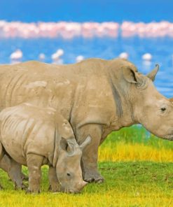 Rhinoceros-paint-by-number