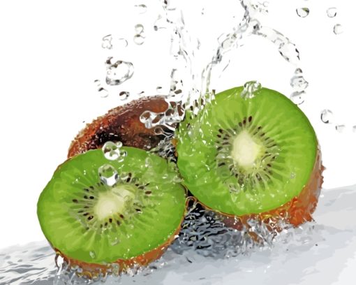 Sliced Kiwi In Water Paint by numbers