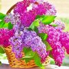 Aesthetic Basket Of Lilac Flowers paint by numbers