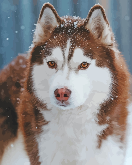 aesthetic-brow-husky-snow-paint-by-numbers