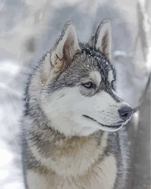 aesthetic-husky-and-snow-paint-by-numbers