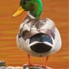 aesthetic-mallard-paint-by-numbers