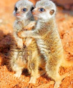 baby-meerkats-paint-by-numbers-510x639-1