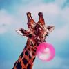 colorful-giraffe-paint-by-number
