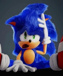 cool-sonic-the-hedgehog-paint-by-number-510x407-1
