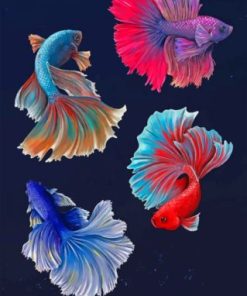 Betta Fishes Vector paint by numbers