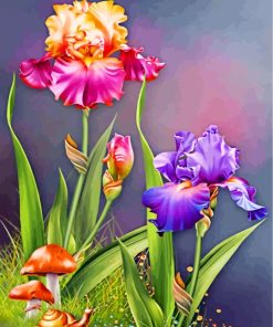 flowers-and-mashrooms-paint-by-numbers