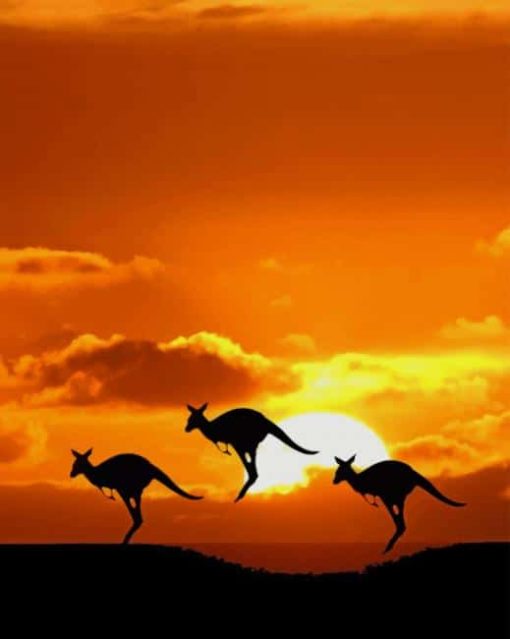 kangaroo-sunset-paint-by-number