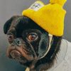 pug-with-yellow-hat-paint-by-numbers-510x639-1