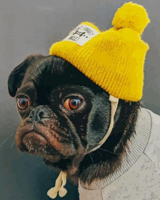 pug-with-yellow-hat-paint-by-numbers-510x639-1
