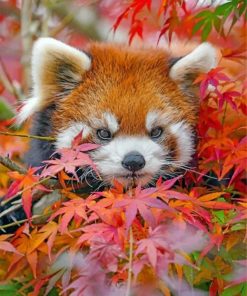 red-panda-and-leaves-paint-by-numbers