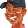 Tiger Woods Paint by numbers