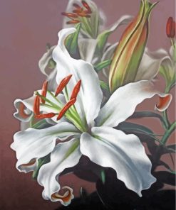 white-magnolia-flower-2-paint-by-numbers
