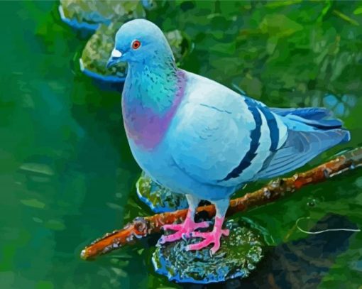 Cute Blue Colombidae Bird paint by numbers