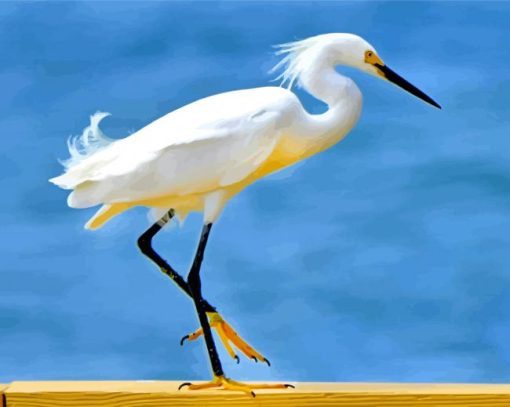 White Erget Bird Animal paint by numbers