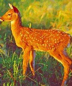 Little Fawn In Forest paint by numbers