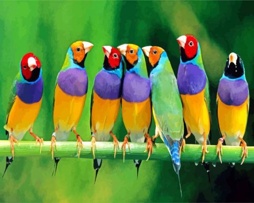 Group Of Finches Birds paint by numbers