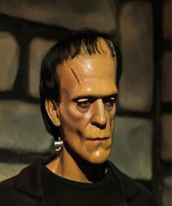 Frankenstein Movie paint by numbers