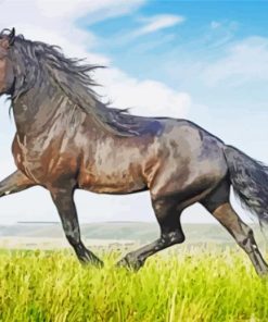 Friesian Black Horse paint by numbers