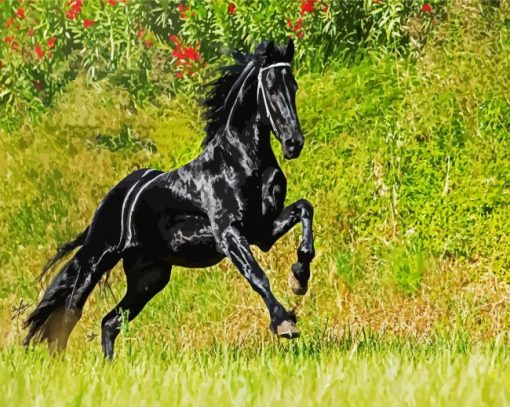 Aestethic Friesian Horse paint by number