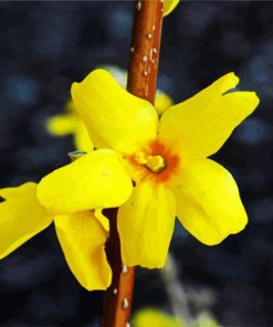 Aesthetic Yellow Forsythia paint by number