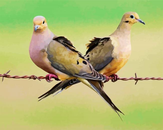 Cute Doves Birds paint by numbers