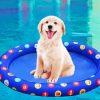 Cute Floating Adorable Dog paint by numbers