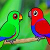Cute Electrus Birds paint by numbers