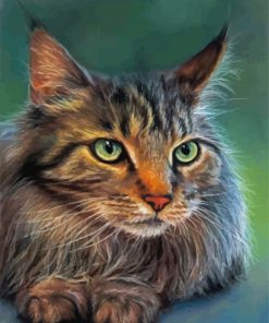 Cute Mainecoon Cat Animal paint by numbers