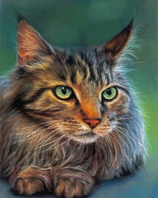 Cute Mainecoon Cat Animal paint by numbers