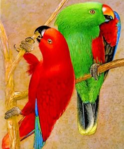 Colorful Electus Parrots Birds paint by numbers