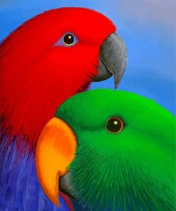 Two Electus Parrots Birds paint by numbers