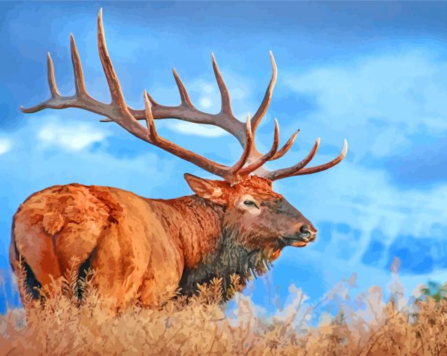 Elk Animal paint by numbers