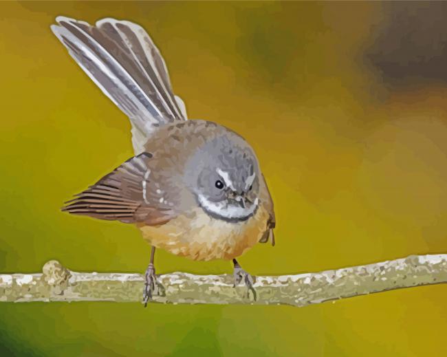 Cute Fantail Bird paint by number