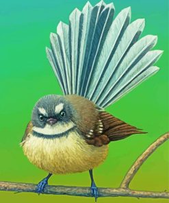 Cute Little Fantail Bird paint by numbers