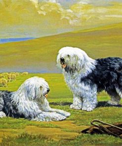 Cute Sheepdogs Animal paint by numbers