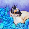Cute SIamese Cat paint by numbers