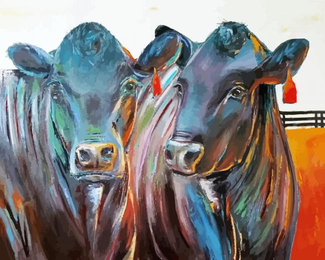 Aberdeeen Black Angus Cows paint by numbers