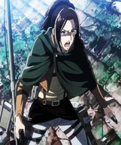 Attack On Titan Hanji paint by numbers