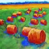 Bales In The Fields paint by numbers