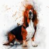 Aesthetic Basset Dog paint by numbers