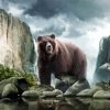 Huge Bear Animal paint by numbers