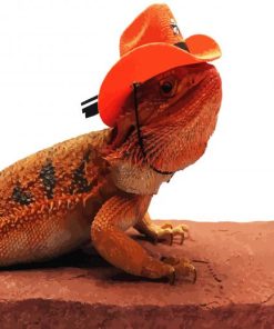 Bearded Dragon With Red Hat paint by numbers