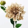 Adorable Beige Flower paint by numbers