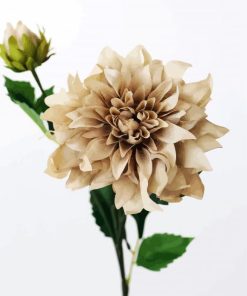 Adorable Beige Flower paint by numbers