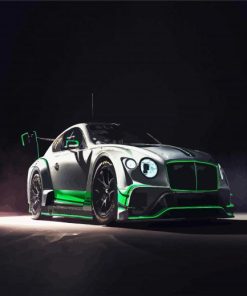 Bentley Sport Racing Car paint by numbers