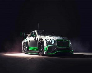 Bentley Sport Racing Car paint by numbers