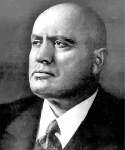 Black And White Mussolini paint by number