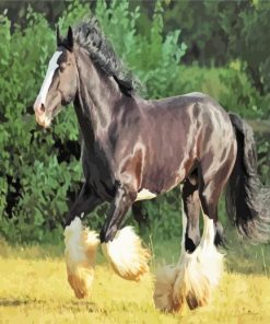 Adorable Black Shire Horse paint by numbers
